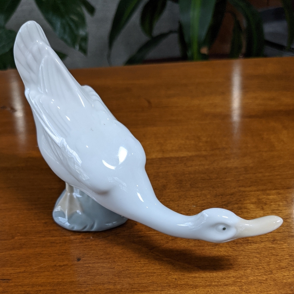 Nao Goose